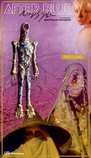 Figurine collector 15x04 AFTER BLUE "Indiams"